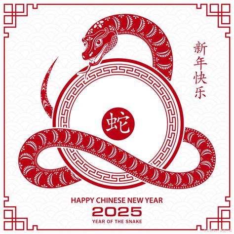 2025是什么生肖|十二生肖2025年运势大全